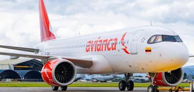 pueden los perros volar en aviones delta