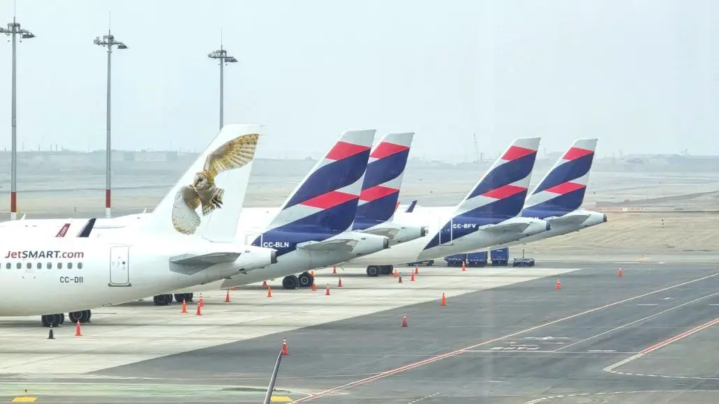 IATA sostenibilidad combustible sostenible de aviacion SAF Latinoamerica suramerica colombia peru chile brasil