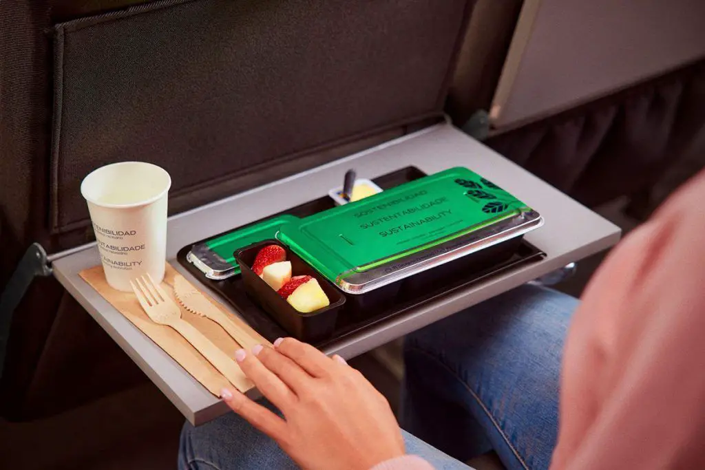 serviço de voos em classe econômica da latam Airlines