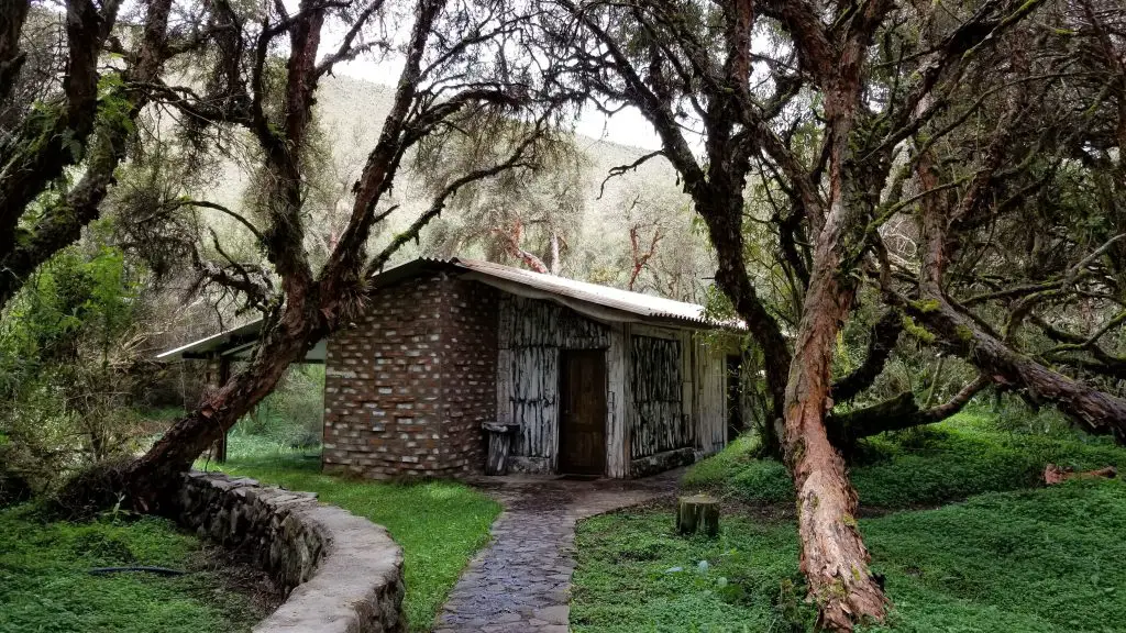 Polylepis Lodge
