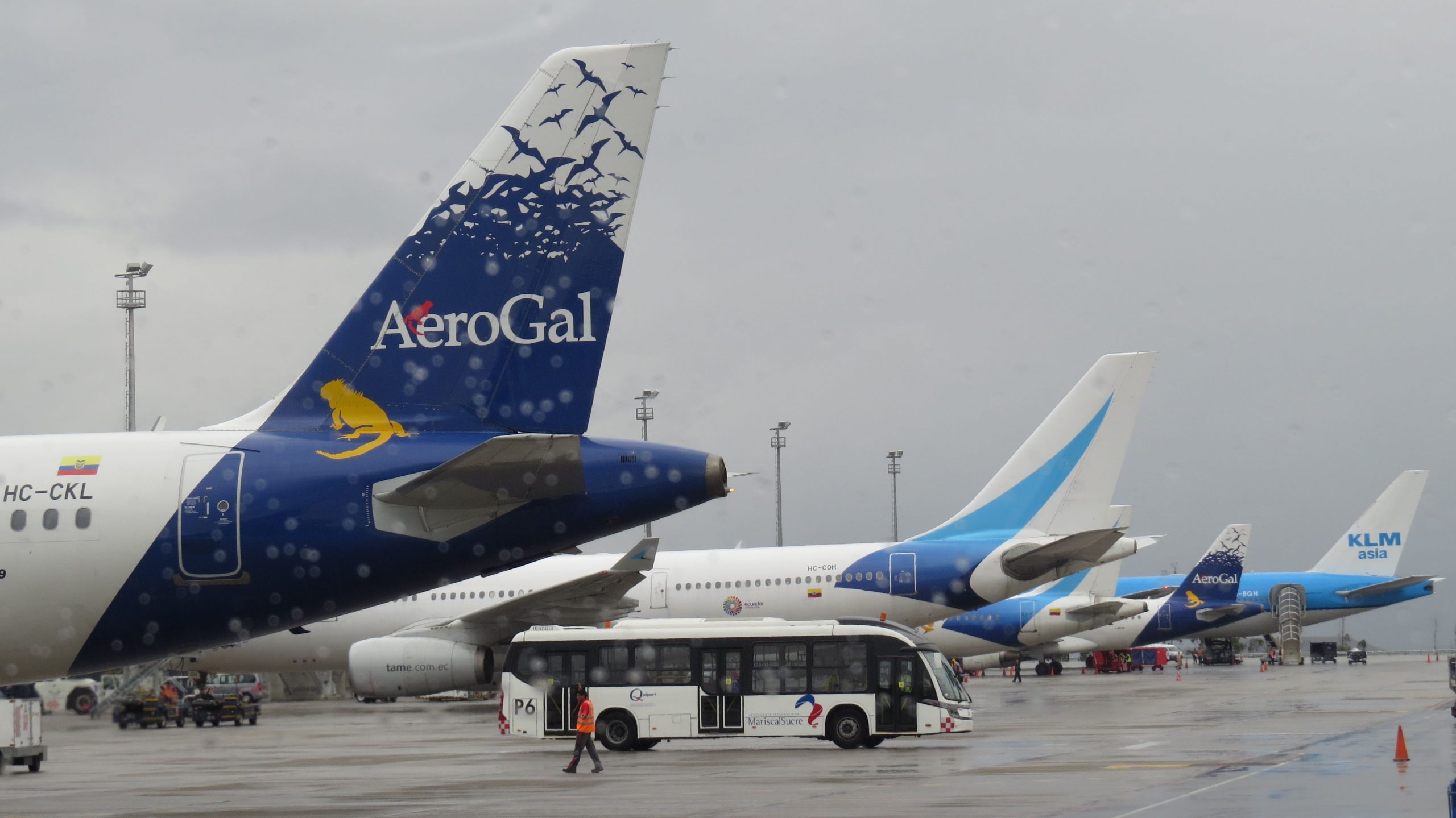 Seguro internacional de viaje obligatorio hacia Ecuador Seguro internacional de viaje obligatorio hacia Ecuador