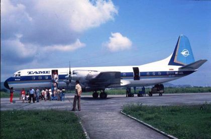 Tame Electra flota historia