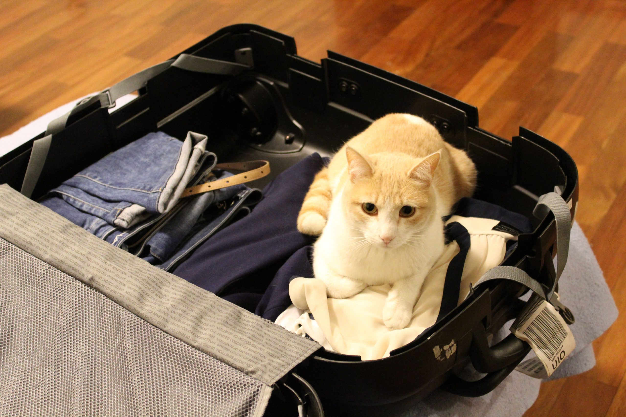 Qué artículos no puedo llevar en mi equipaje de bodega o cabina?