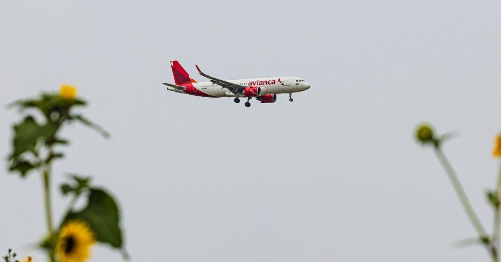 avianca inicio vuelo vuelos ruta directa destino Estados Unidos Bogota Dallas horarios precio