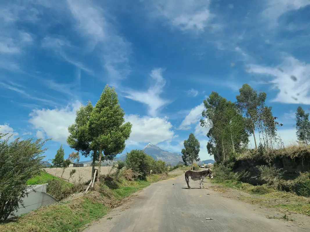 cascadas terma cunuyacu como llegar donde es ilinizas