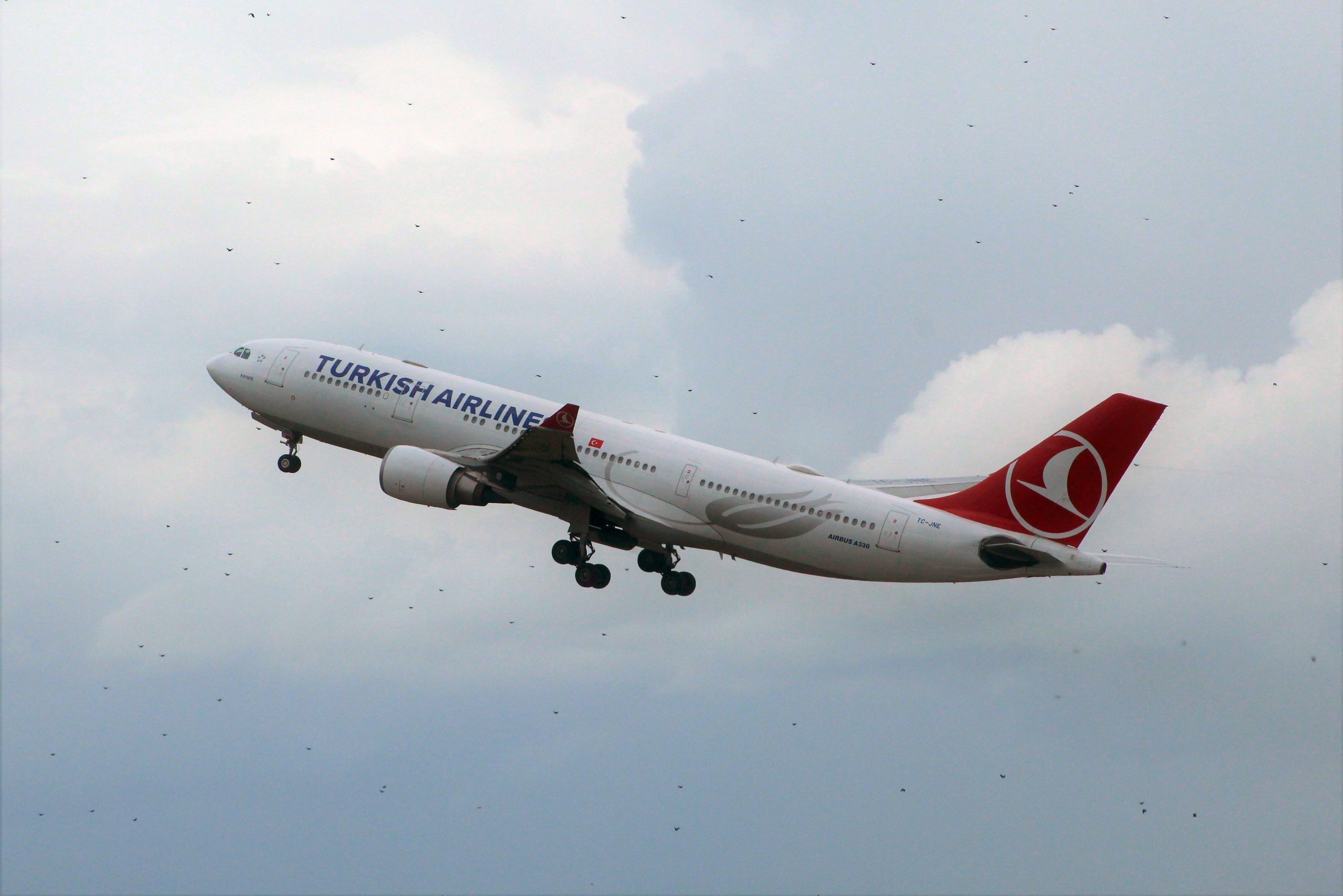 Copa Airlines y Turkish Airlines operarán código compartido a Ecuador Copa Airlines y Turkish Airlines operarán código compartido a Ecuador