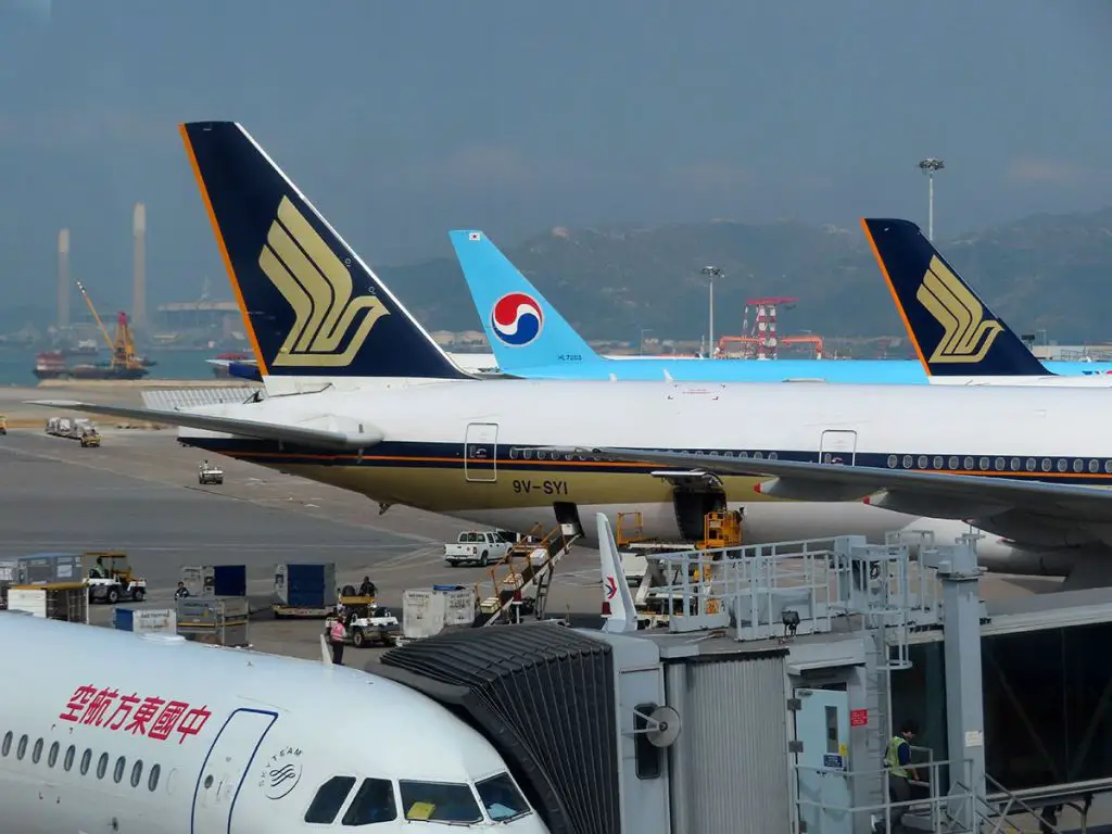 previsão transporte aéreo iata recuperação no final do ano