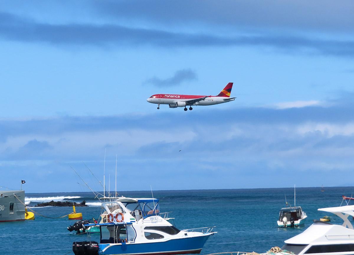 Desde octubre nuevos requisitos para viajar a Galápagos octubre requisitos galápagos prueba negativa pcr carne certificado vacunacion vuelos quito guayaquil ecuador ruta
