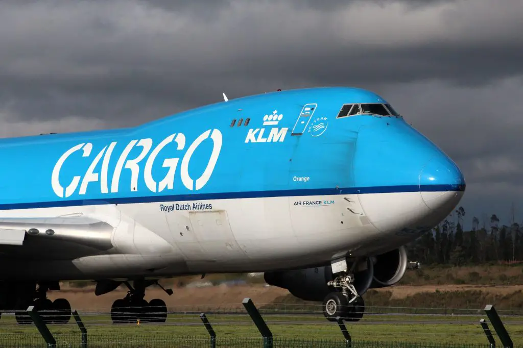 Record of flowers from Quito International Airport