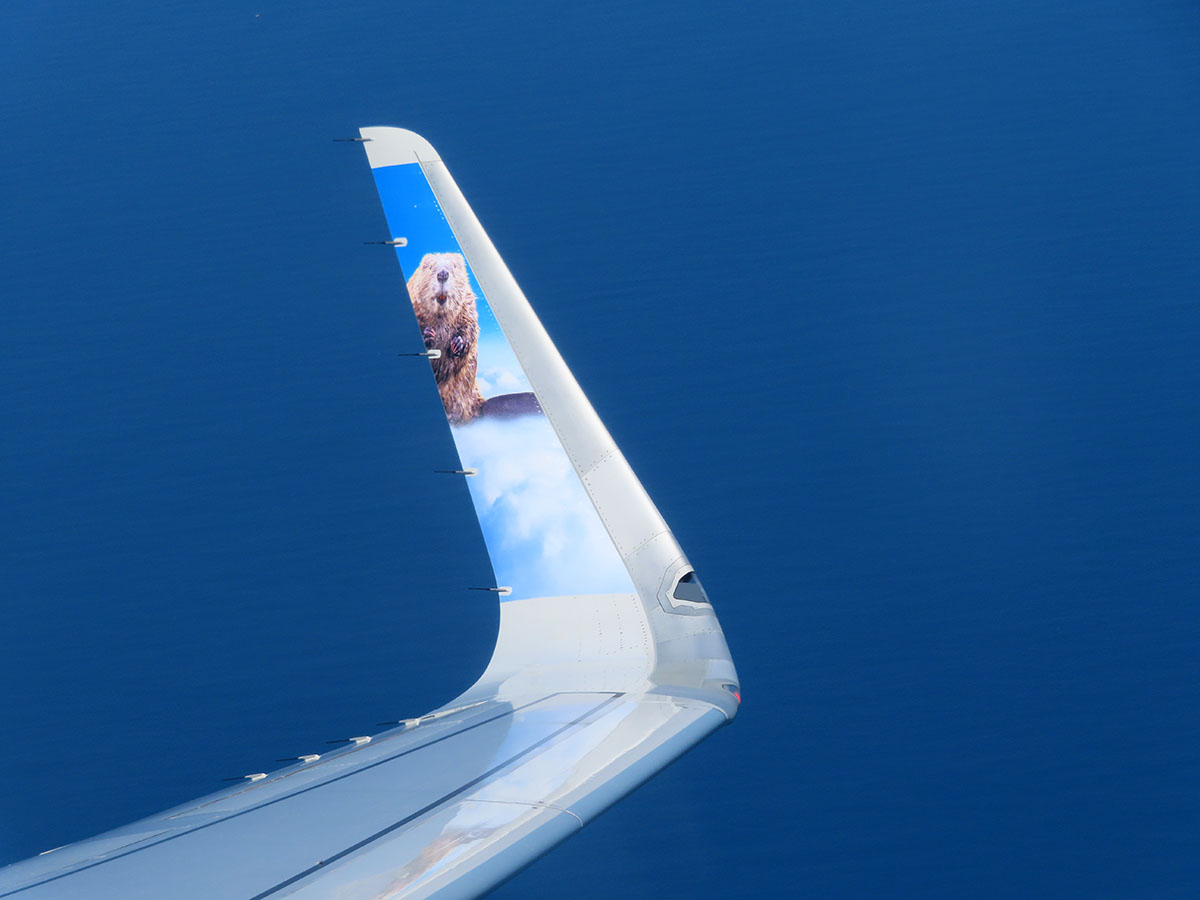 frontier Airlines Airbus A320neo N363FR Beaver