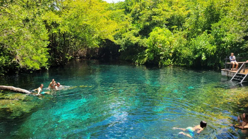 Ojos Indigenas Ecological Reserve Punta Cana Resort Que faire Que visiter Activités à la découverte de Canaan