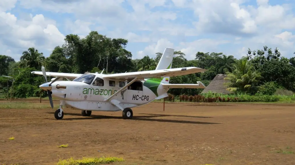 Tame Amazonia vuelve a volar