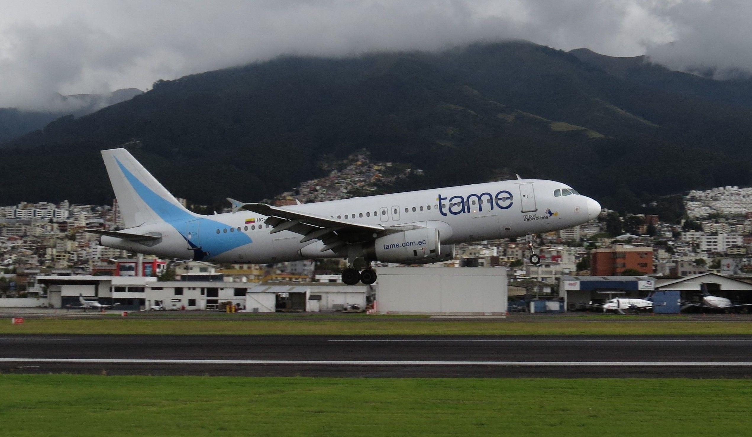 "Gobierno no ha tomado la decisión de liquidar Tame EP" liquidar Tame EP